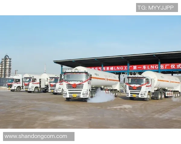 LNG在世界大师赛中的耐力表现分析与总结