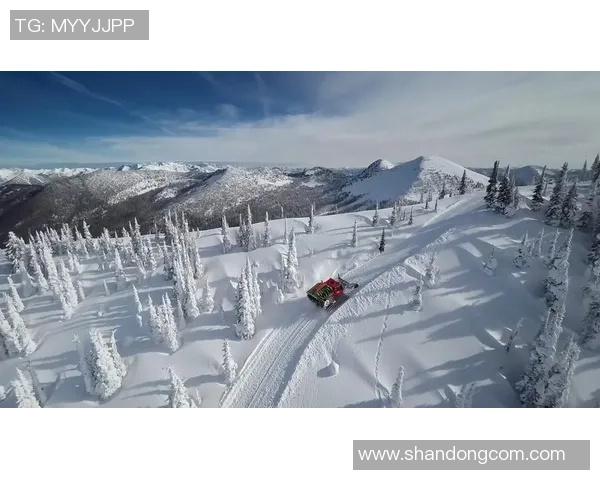 南京极限运动队在极限运动联赛中的精彩表现与节奏分析