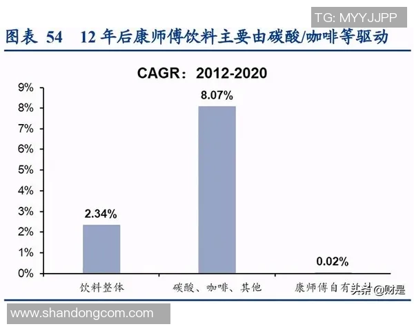 北京篮球队战术解析：从进攻到防守的全面剖析与展望