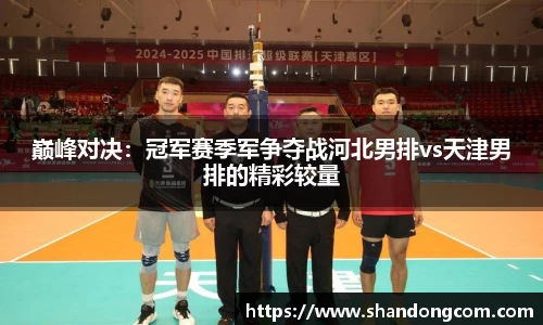 巅峰对决：冠军赛季军争夺战河北男排vs天津男排的精彩较量