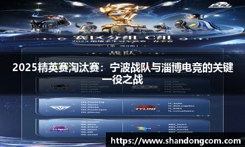 2025精英赛淘汰赛：宁波战队与淄博电竞的关键一役之战