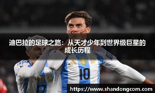 博鱼官方网站