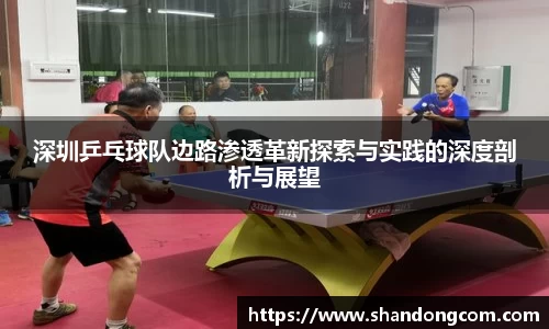 深圳乒乓球队边路渗透革新探索与实践的深度剖析与展望